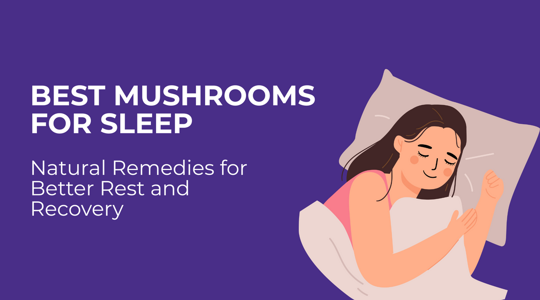 Best Mushrooms for Sleep: Natural Remedies for Better Rest and Recovery