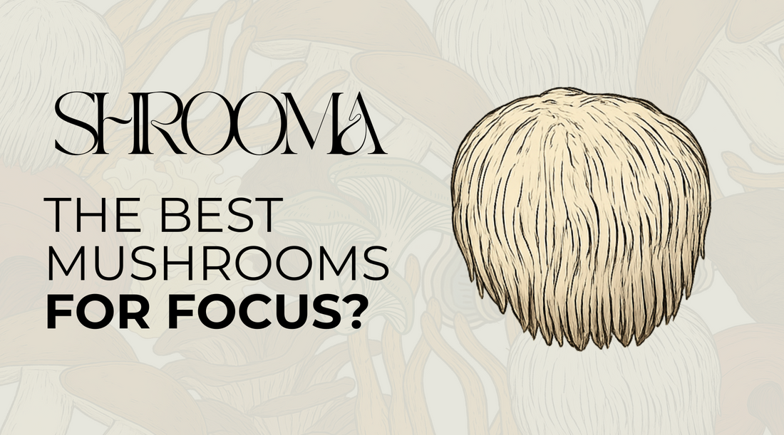 The Best Mushrooms for Focus