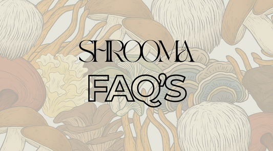 Shrooma FAQs: Everything You Need to Know About Functional Mushrooms