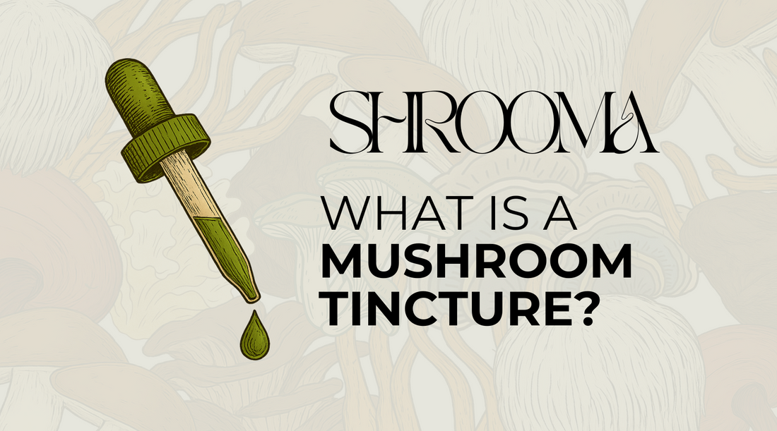 What Is a Mushroom Tincture?