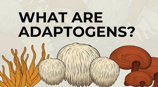 What Are Adaptogens? And Why Mushrooms Are Some of the Best