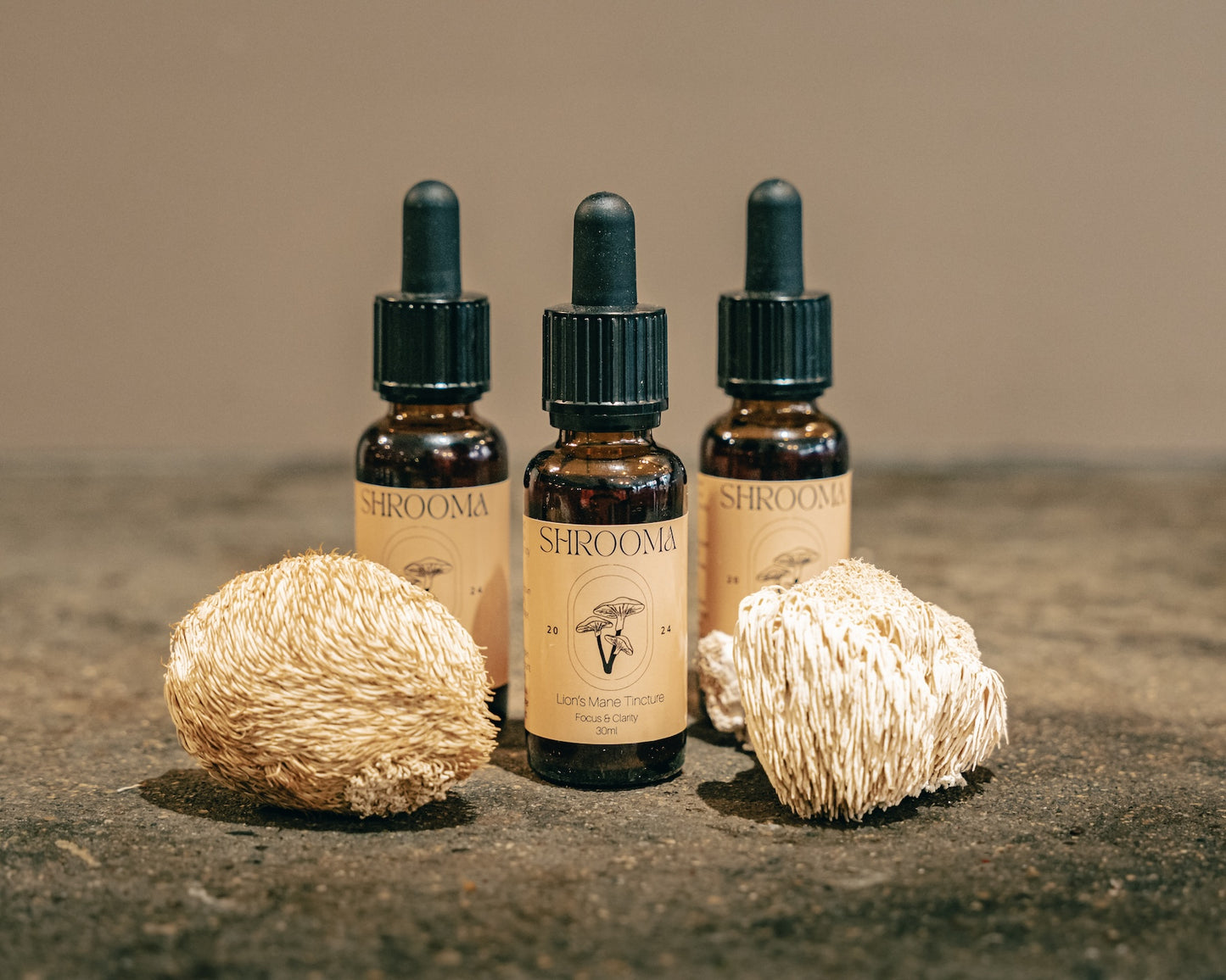 Lion’s Mane Tincture – Cognitive Support