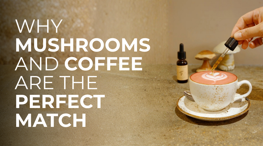 Why Mushrooms and Coffee Are the Perfect Match