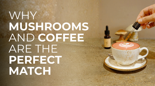 Why Mushrooms and Coffee Are the Perfect Match
