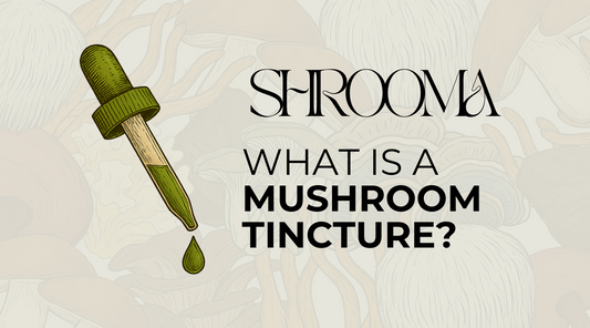 What Is a Mushroom Tincture?